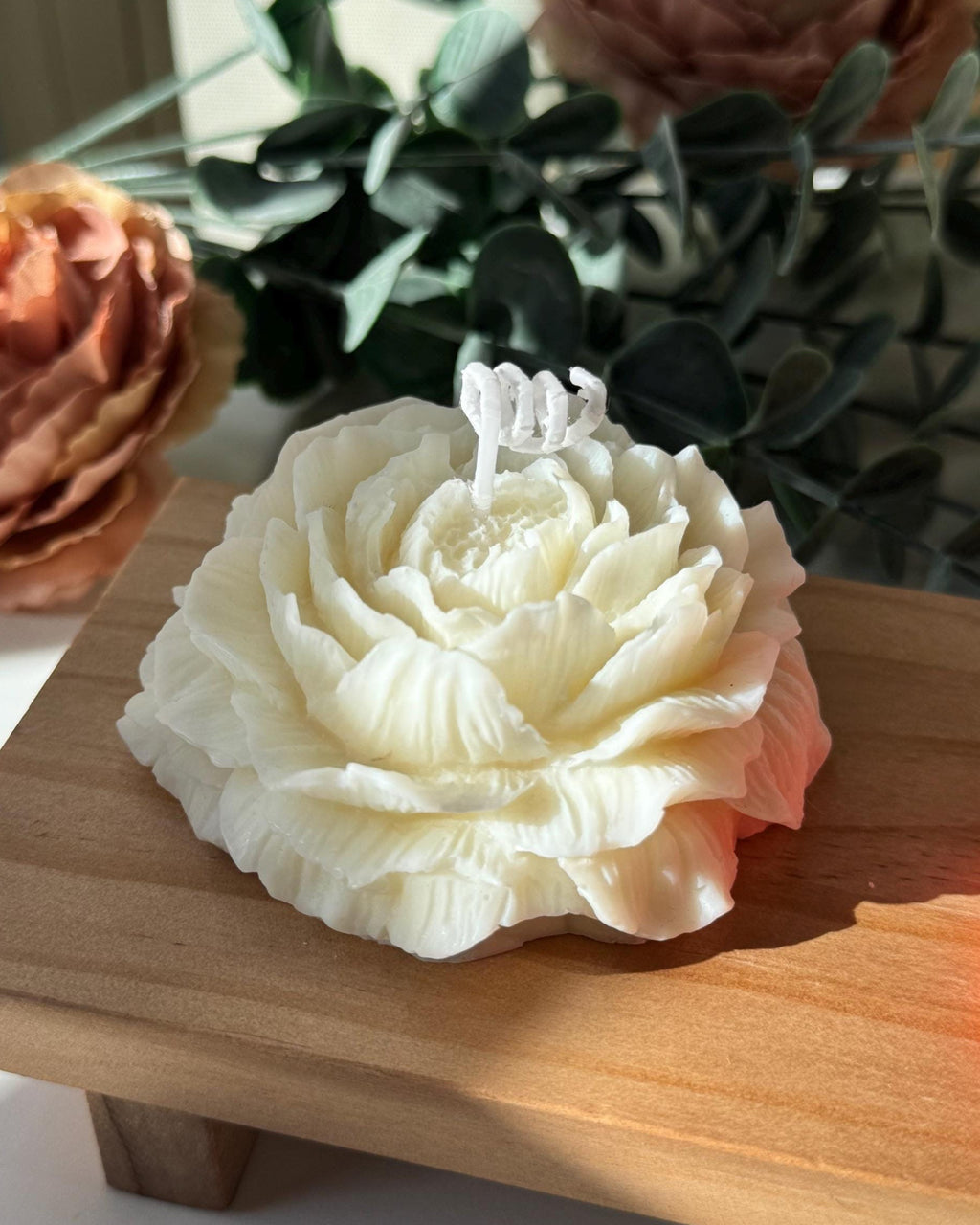 Peonia