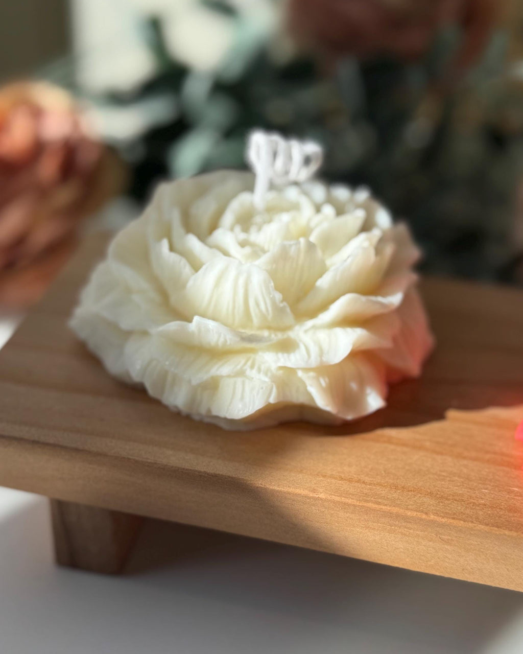 Peonia