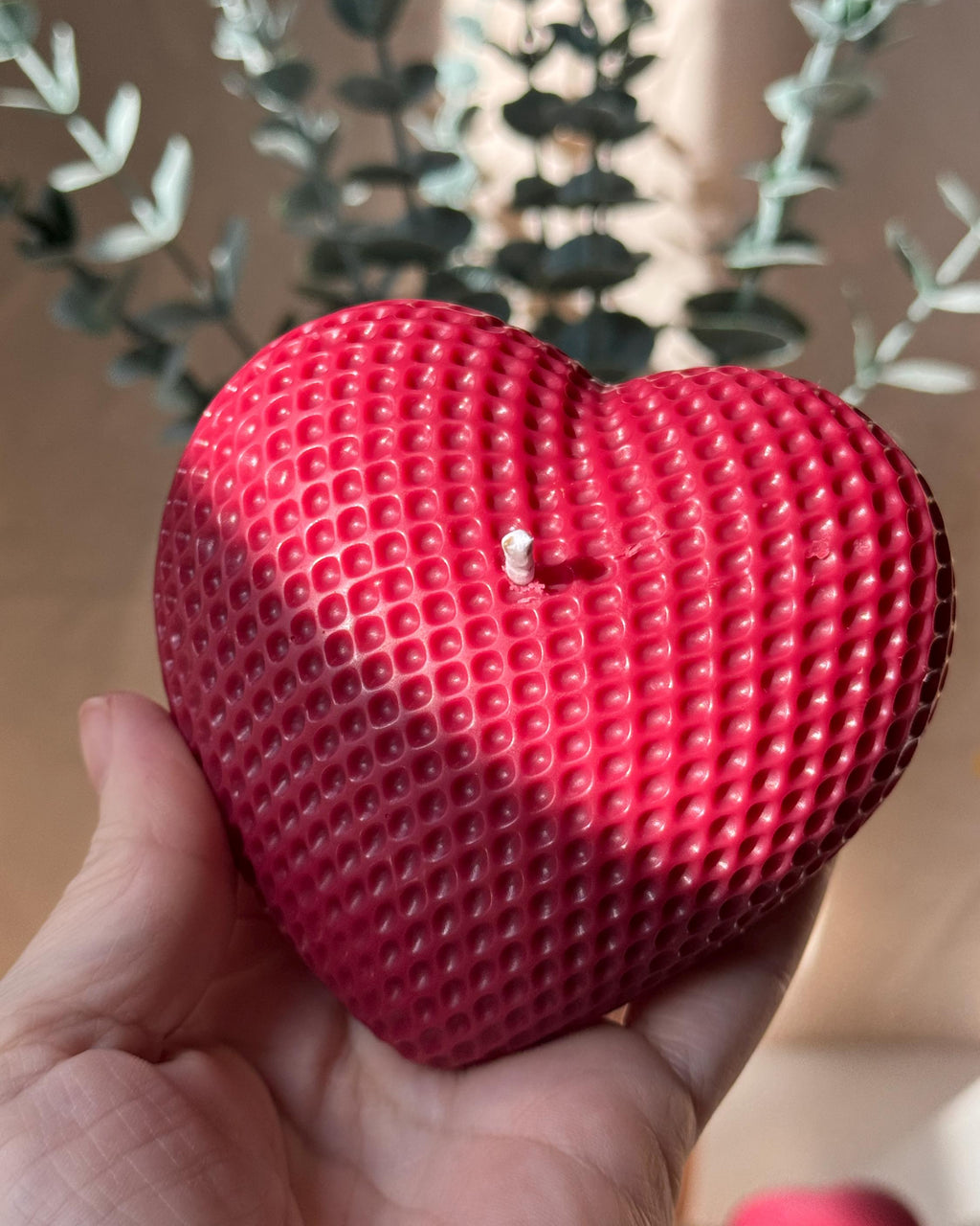 Corazón Muxus