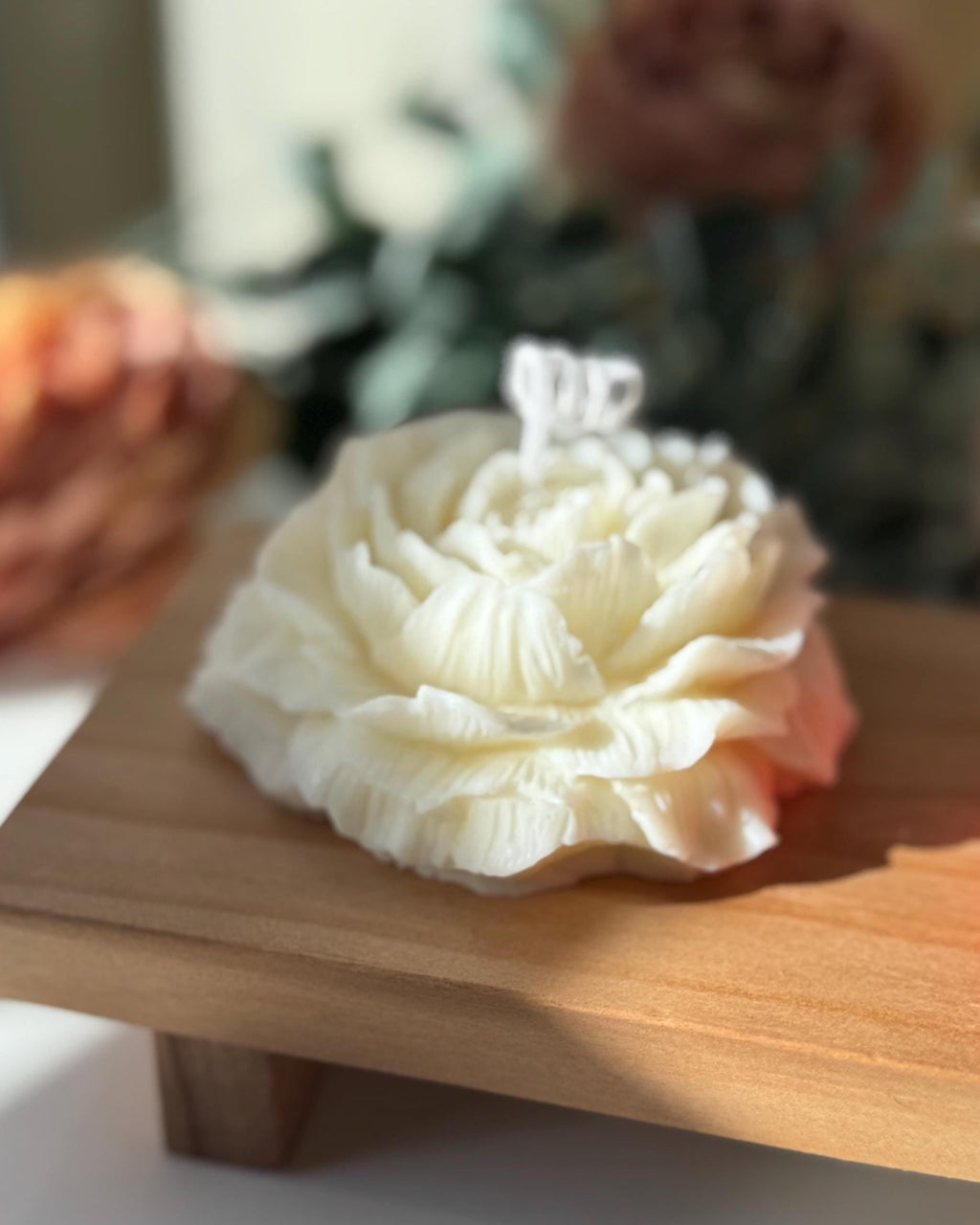 Peonia
