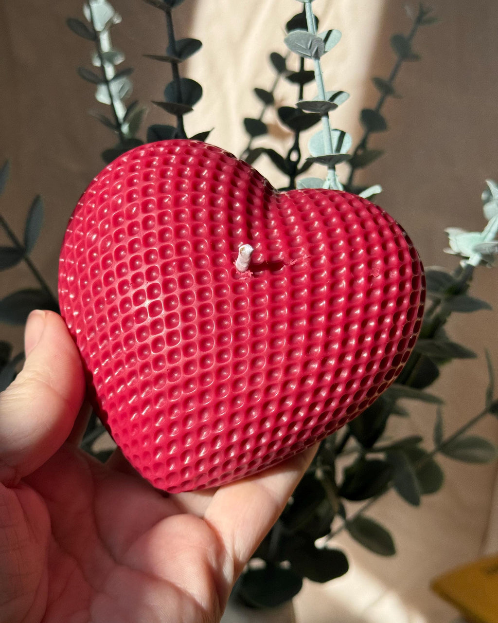 Corazón Muxus