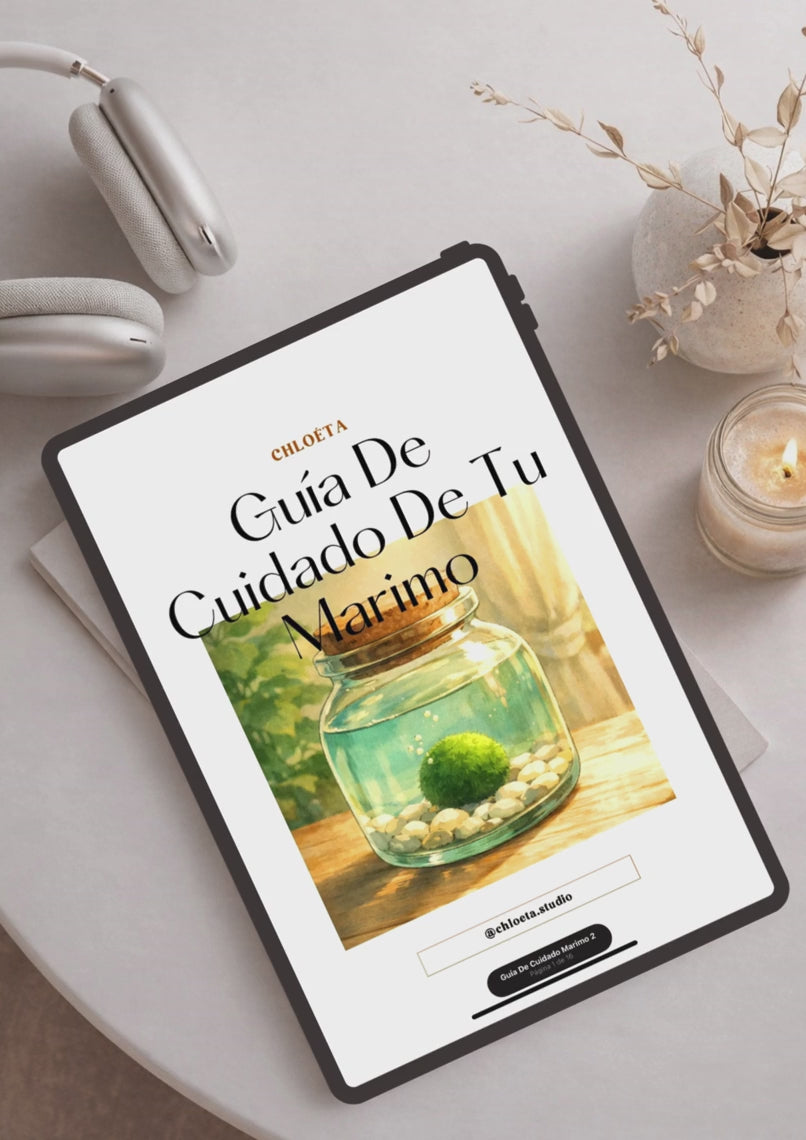 Ritual Marimo - Kit digital de cuidado y adopción.